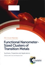 Functional nanometer-sized clusters of transition metals synthesis