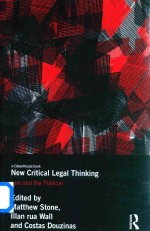 New Critical Legal Thinking Law and the Political