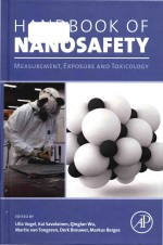 Handbook of nanosafety measurement