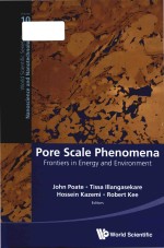 Pore scale phenomena frontiers in energy and environment