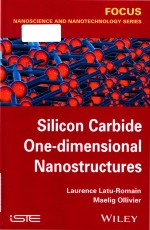 Silicon carbide one-dimensional nanostructures