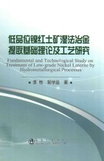 低品位镍红土矿湿法冶金提取基础理论及工艺研究