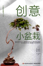 创意小盆栽