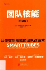 团队核能 从低效到高能的团队改造术 行动版