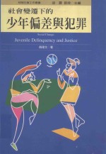 社会变迁下的少年偏差与犯罪