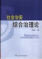 社会治安综合治理论