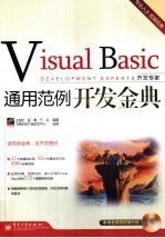 Visual Basic通用范例开发金典