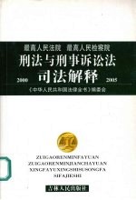 刑法与刑事诉讼法司法解释 最高人民法院 最高人民检察院 2000-2004