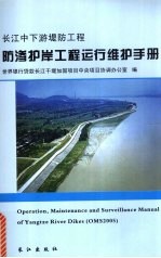 长江中下游堤防工程防渗护岸工程运行维护手册 隐蔽工程部分