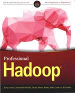 professional hadoop