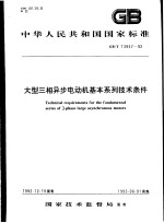 中华人民共和国国家标准 大型三相异步电动机基本系列技术条件 GB/T13957-92