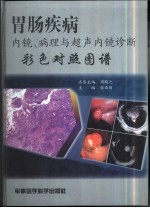 胃肠疾病内镜、病理与超声内镜诊断彩色对照图谱