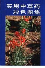 实用中草药彩色图集  第6册