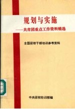 规划与实施：共青团重点工作资料精选