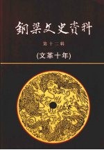 铜梁文史资料 第12辑 文革十年