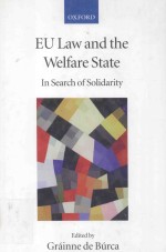 EU LAW AND THE WELFARE STATE LN SEARCH OF SOLIDARITY