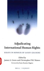 ADJUDICATING INTERNATIONAL HUMAN RIGHTS ESSAYS IN HONOUR OF SANDY CHANDHI