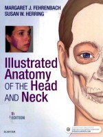 IIIUSTRATED ANATOMY OF THE HEAD AND NECK