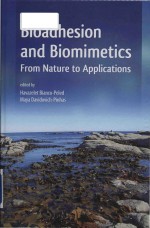 Bioadhesion and biomimetics from nature to applications