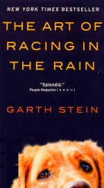 THE ART OF RACING IN THE RAIN