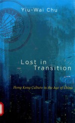 LOST IN TRANSITION HONG KONG CULTURE IN THE AGE OF CHINA