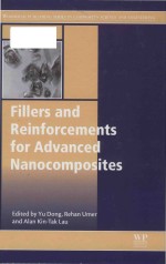 Fillers and reinforcements for advanced nanocomposites