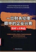 一位财务经理眼中的企业兴衰 集团与并购篇