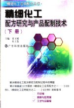 精细化工配方研究与产品配制技术 下