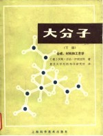 大分子 下 合成、材料和工艺学