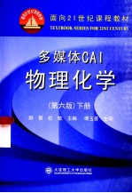 多媒体CAI物理化学 下