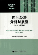 国际经济分析与展望 2013-2014