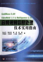 音频视频信息处理技术实用指南