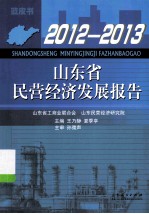 山东省民营经济发展报告 2012-2013