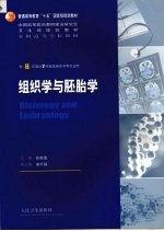 组织学与胚胎学