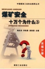 煤矿安全十万个为什么 3 采煤分册