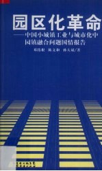 园区化革命 中国小城镇工业与城市化中园镇融合问题国情报告