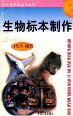 生物标本制作