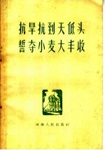 抗旱抗到天低头誓夺小麦大丰收 战胜干旱夺取农业大丰收文件