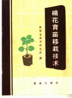 棉花育苗移栽技术