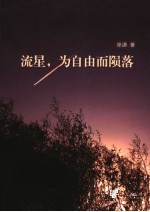 流星，为自由而陨落