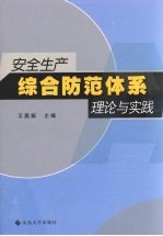 安全生产综合防范体系理论与实践