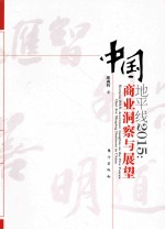 地平线2015 中国商业洞察与展望