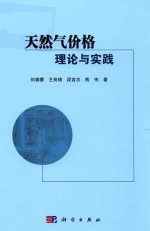 天然气价格理论与实践