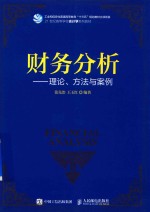 财务分析 理论、方法与案例