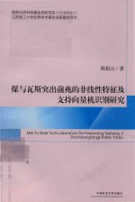 煤与瓦斯突出前兆的非线性特征及支持向量机识别研究