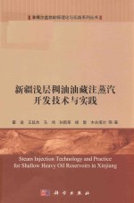 准噶尔盆地勘探理论与实践系列丛书 新疆浅层稠油油藏注蒸汽开发技术与实践