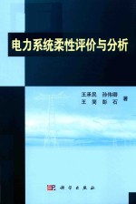 电力系统柔性评价与分析