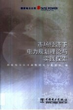 市场经济下电力规划理论与实践探索