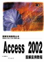 Access 2002图解实例教程