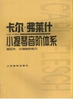 卡尔·弗莱什小提琴音阶体系：每日大、小调音阶练习